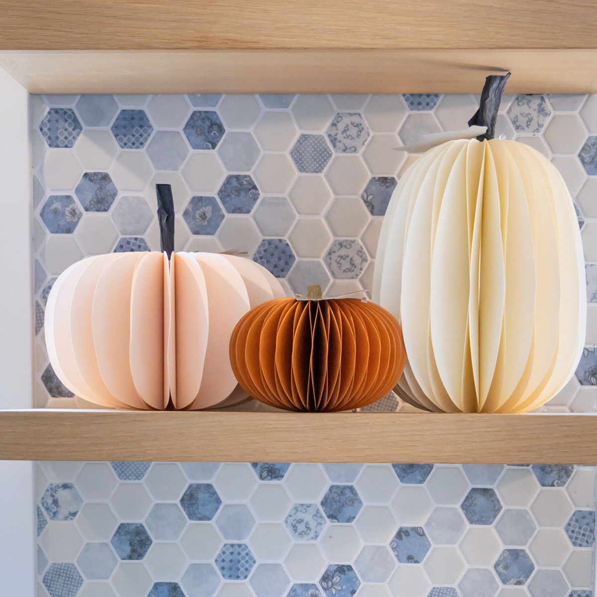 Autumn Pumpkins