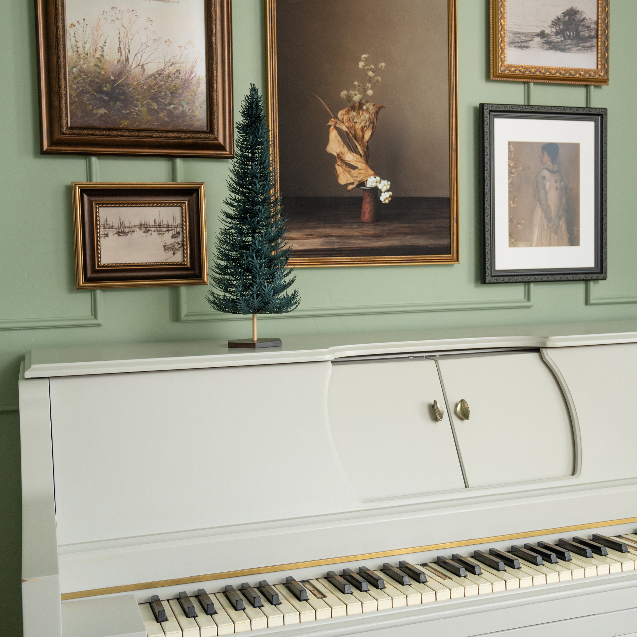 Splendid Spruce - Large Tree