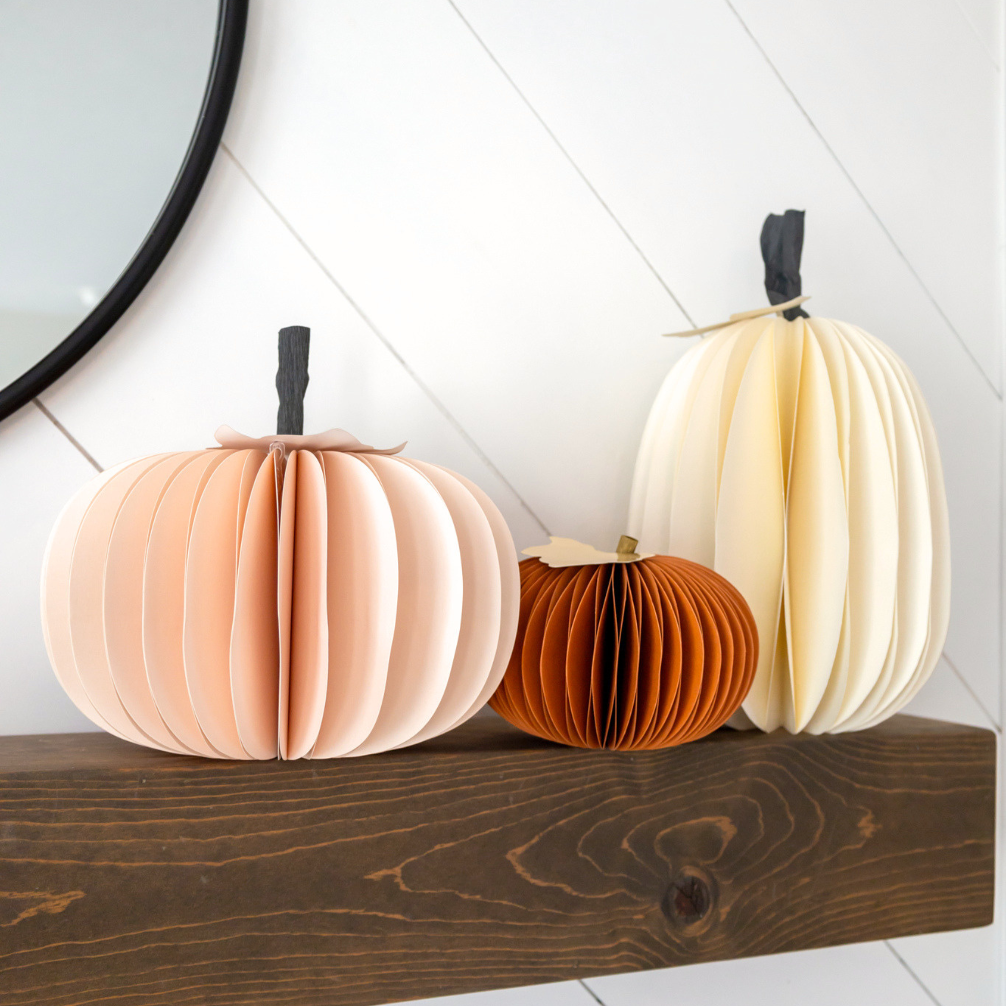 Complete Collection: Autumn