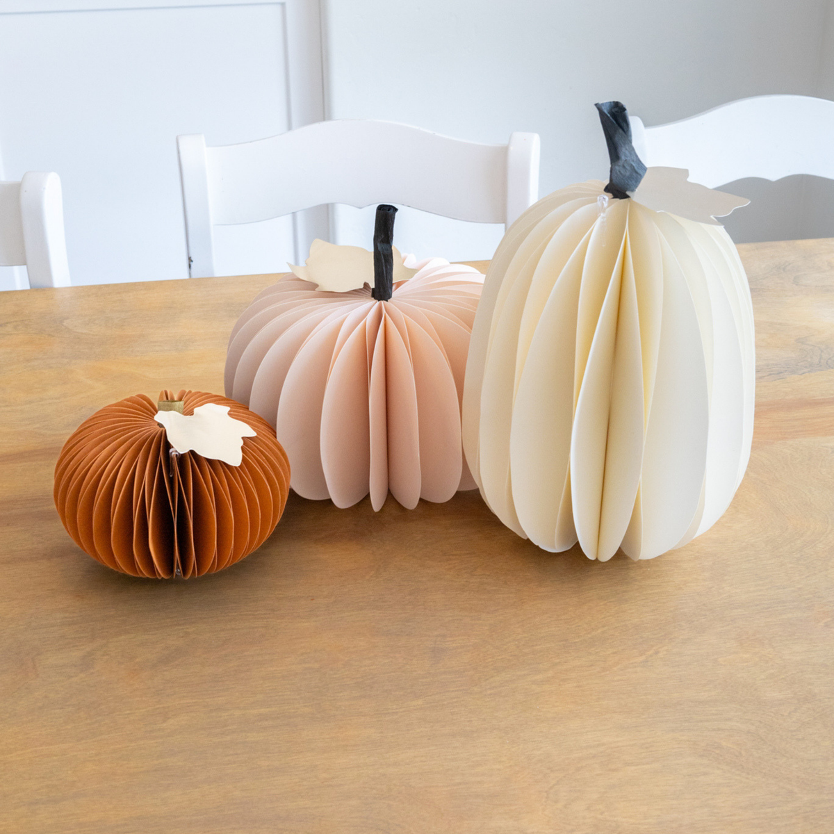 Autumn Pumpkins