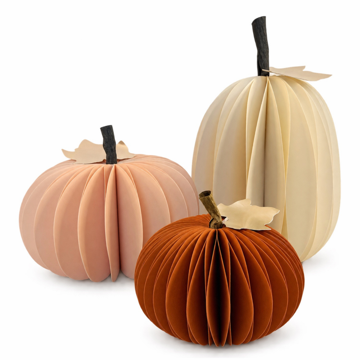 Autumn Pumpkins