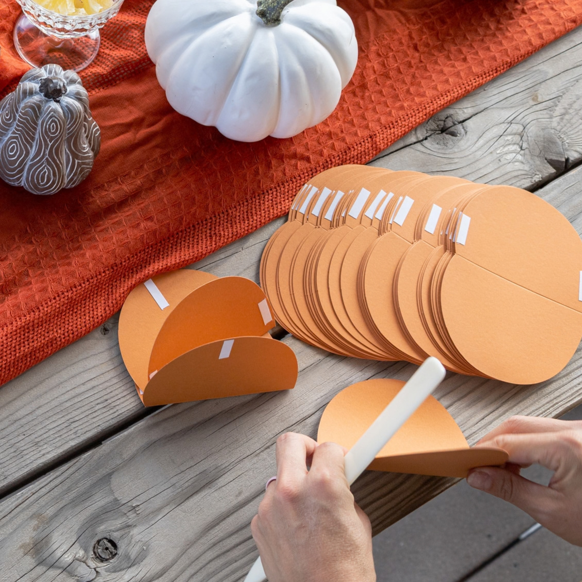 Autumn Pumpkins