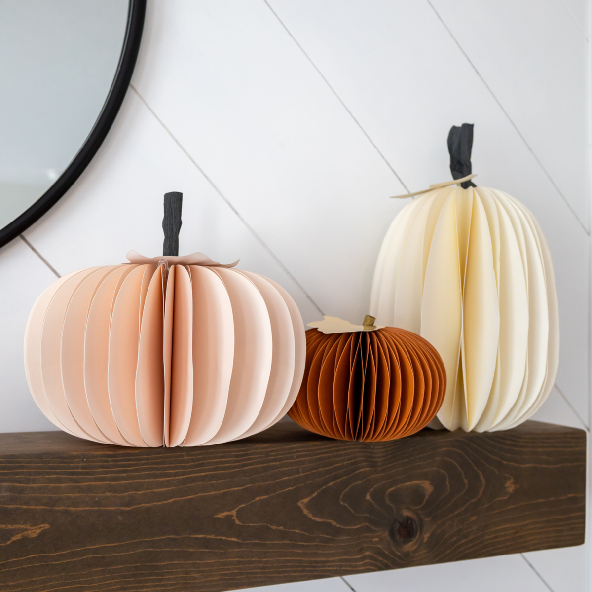 Autumn Pumpkins