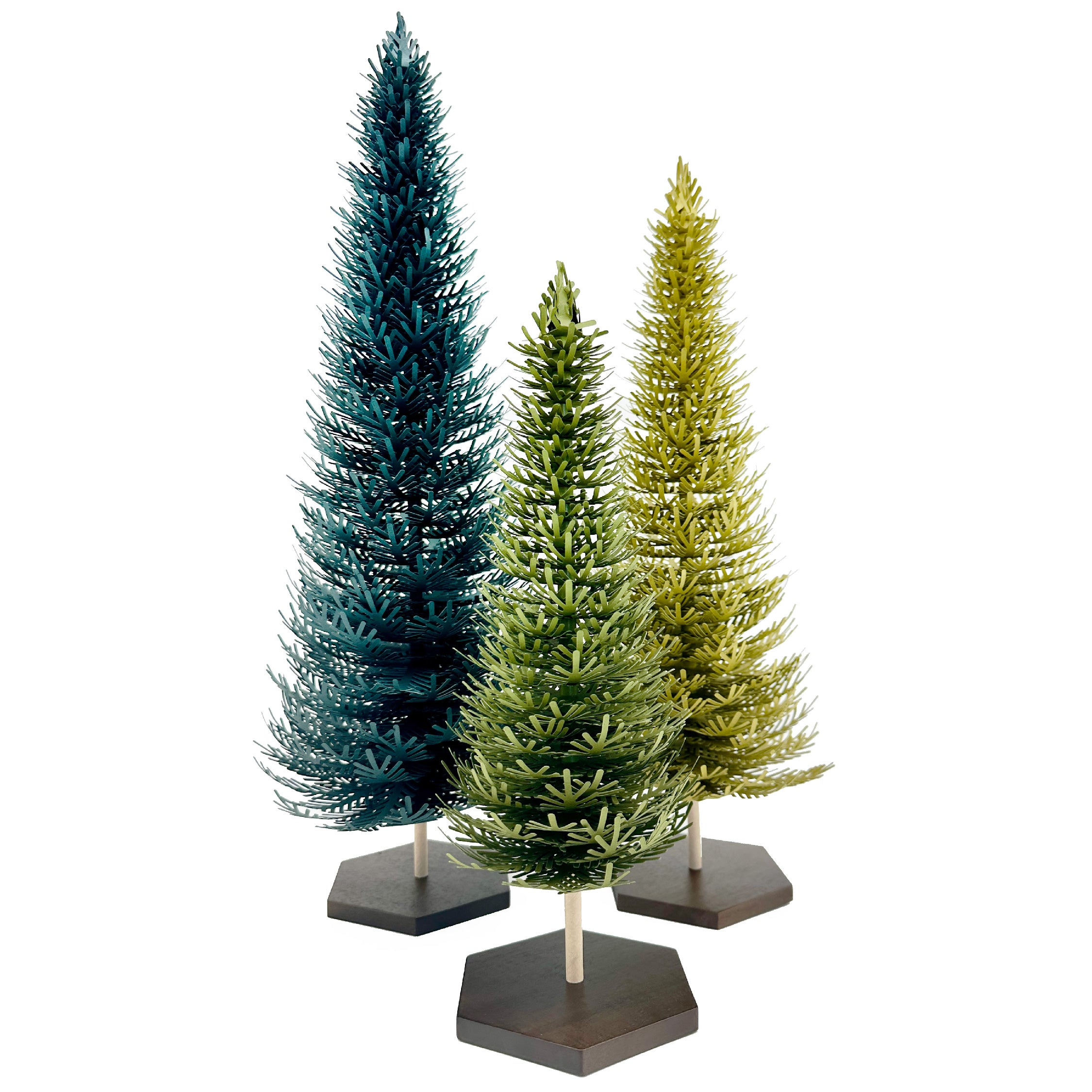 Evergreen Ensemble