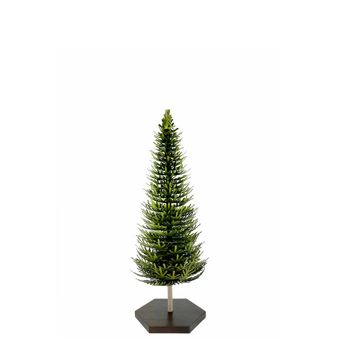 Forest Fir - Small Tree
