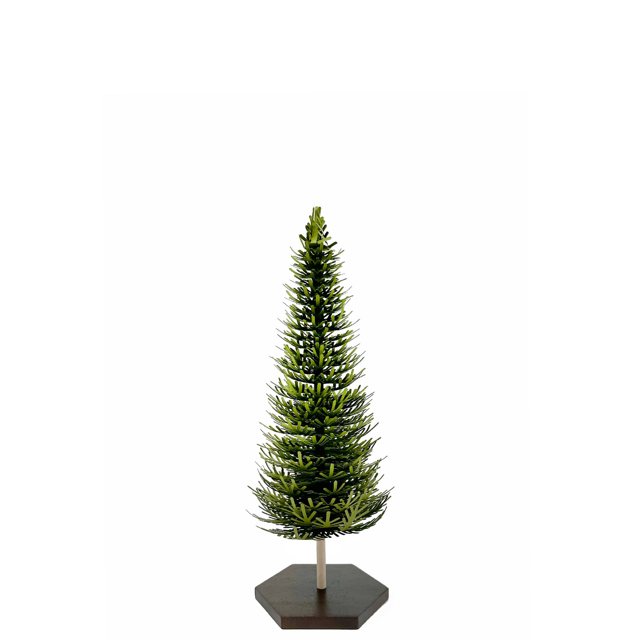 Forest Fir - Small Tree
