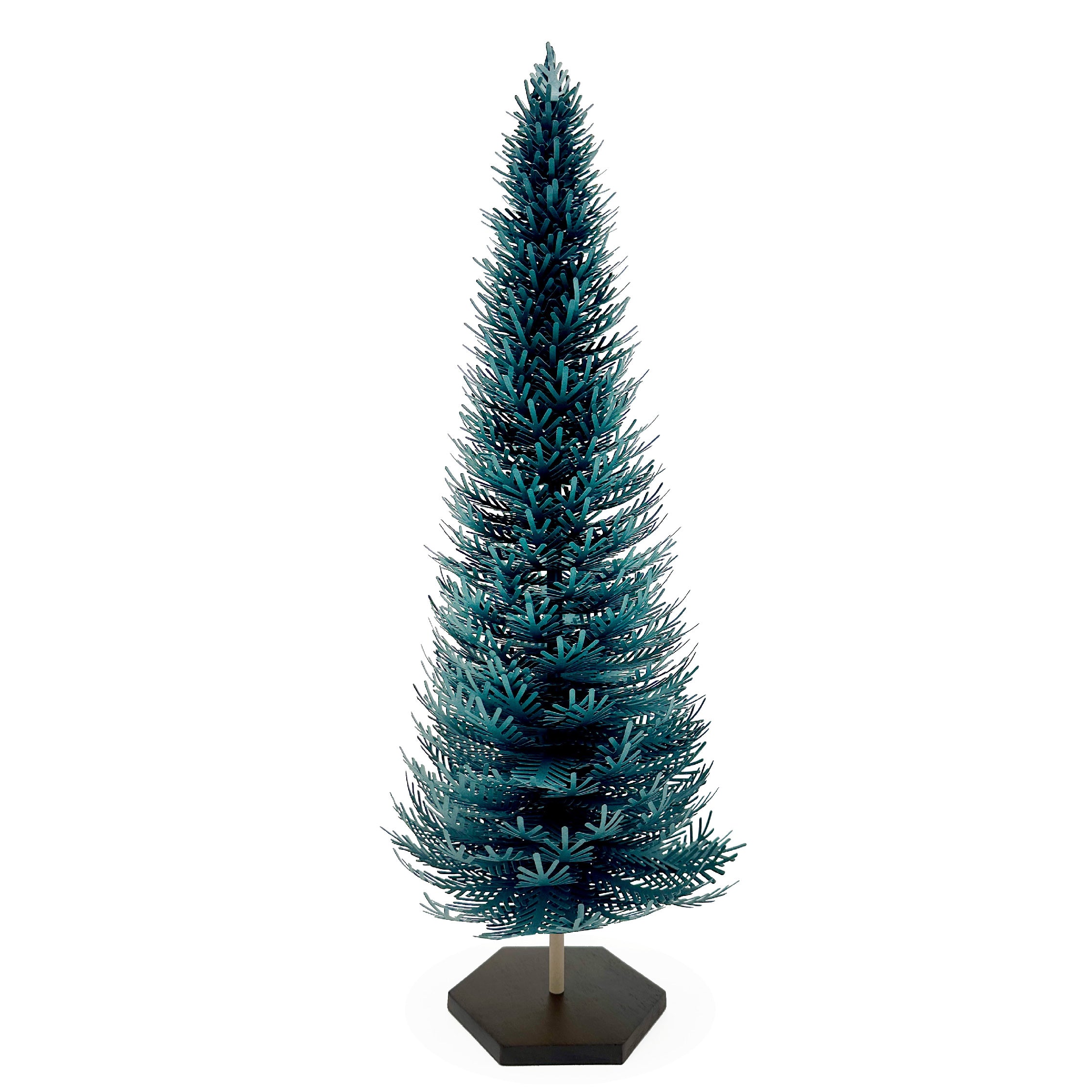 Splendid Spruce - Large Tree